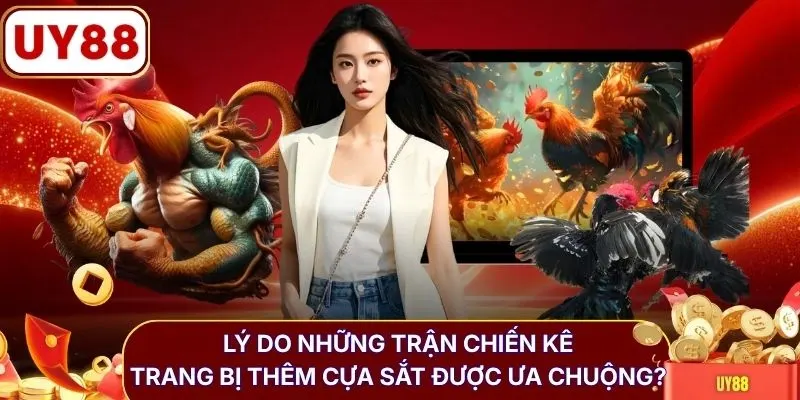 Lý do những trận chiến kê trang bị thêm cựa sắt được ưa chuộng?