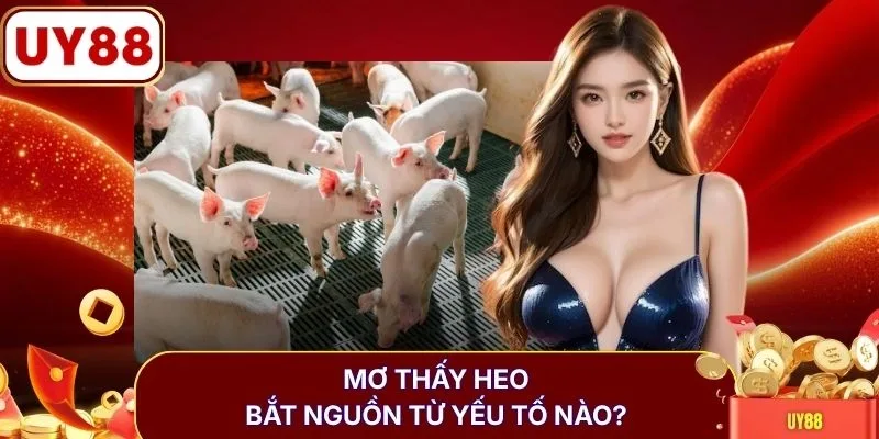 Mơ thấy heo bắt nguồn từ yếu tố nào?