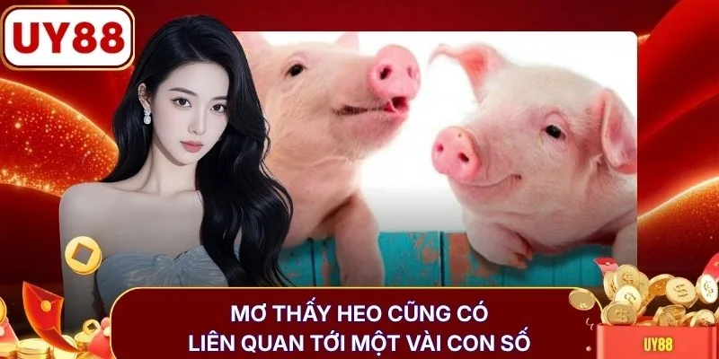 Mơ thấy heo cũng có liên quan tới một vài con số