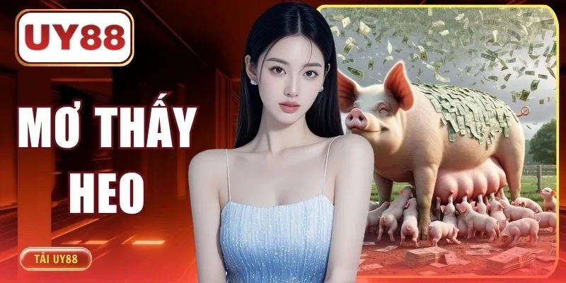 Mơ Thấy Heo