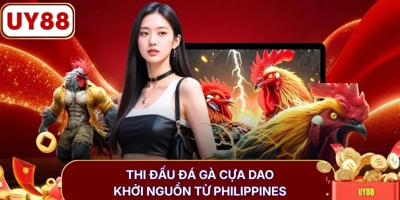 Thi đấu đá gà cựa dao khởi nguồn từ Philippines