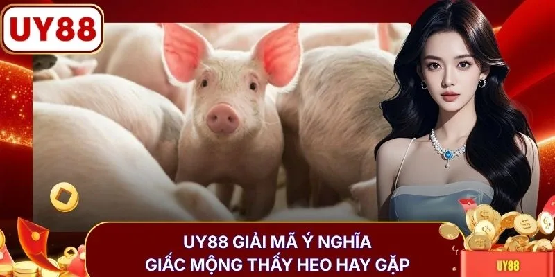 UY88 giải mã ý nghĩa giấc mộng thấy heo hay gặp