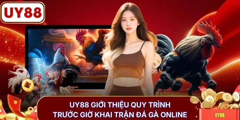 UY88 giới thiệu quy trình trước giờ khai trận đá gà online