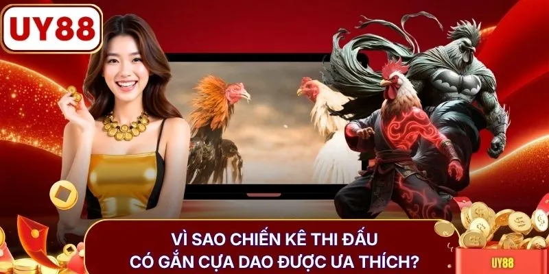 Vì sao chiến kê thi đấu có gắn cựa dao được ưa thích?